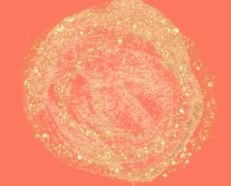 Grounding, Guidance + Protection